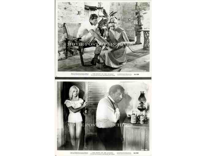 NIGHT OF THE IGUANA, 1964, movie stills, Richard Burton, Deborah Kerr