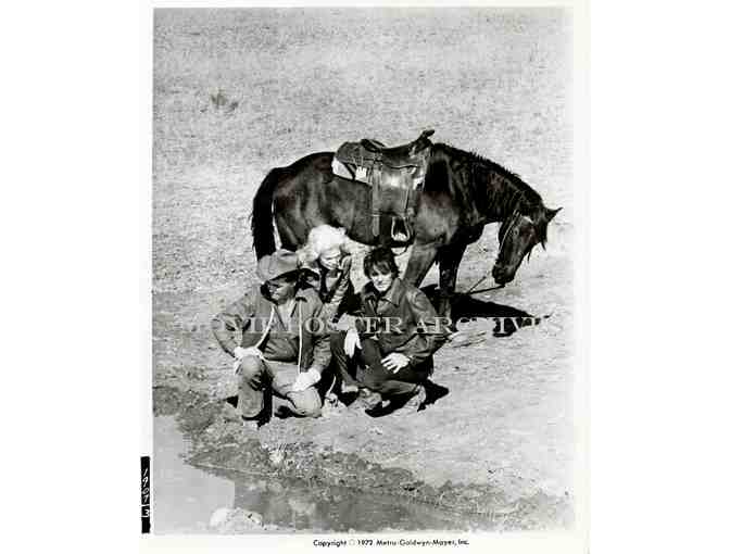 NIGHT OF THE LEPUS, 1972, movie stills, Stuart Whitman, Janet Leigh