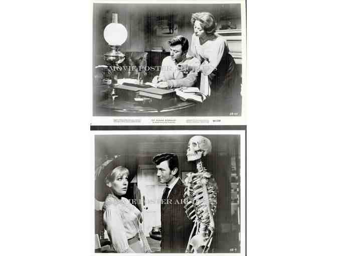 OF HUMAN BONDAGE, 1964, movie stills, Kim Novak, Laurence Harvey