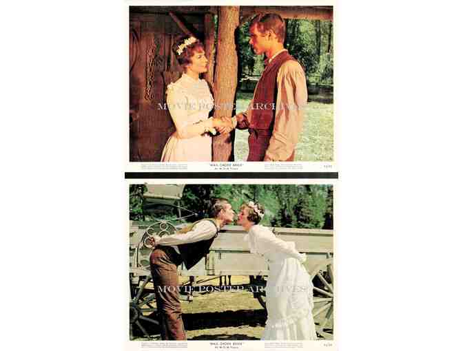 MAIL ORDER BRIDE, 1964, mini lobby cards, Buddy Ebsen, Keir Dullea