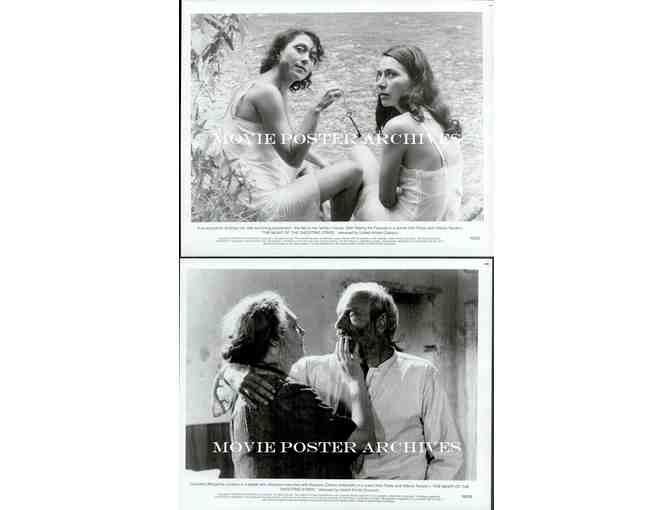 NIGHT OF THE SHOOTING STARS, 1982, movie stills, Omero Antonutti