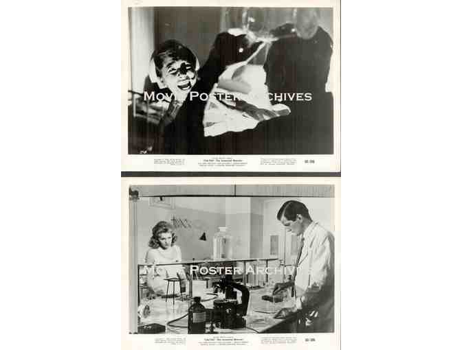 CALTIKI THE IMMORTAL MONSTER, 1960, movie stills John Merivale, Didi Sullivan