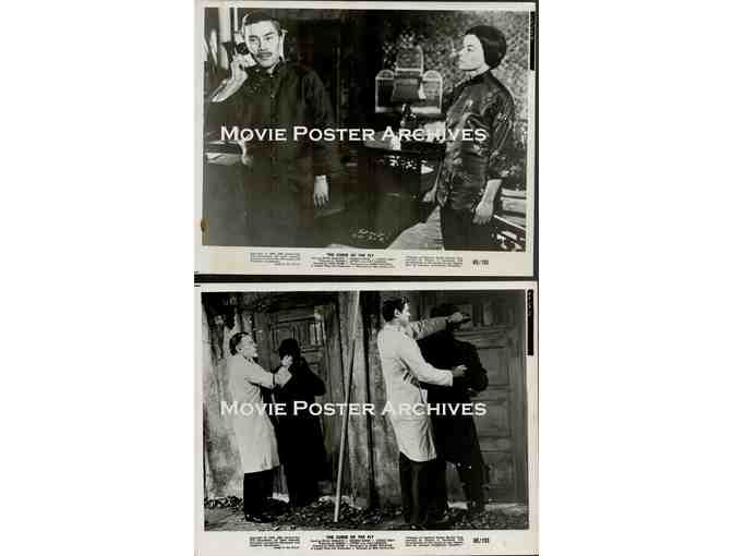 CURSE OF THE FLY, 1965, movie stills, Brian Donlevy, George Baker