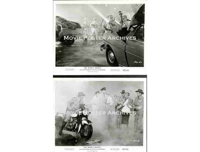 DEADLY MANTIS, 1957, movie stills, Craig Stevens, William Hopper