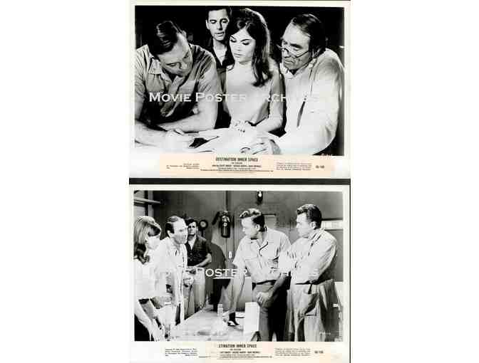 DESTINATION INNER SPACE, 1966, movie stills, Scott Brady, Sheree North