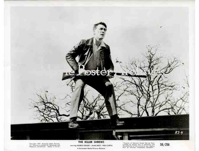 MOVIE STILL LOT 14, varying dates, movie stills, 10 different titles