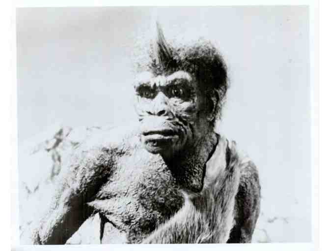 SINBAD AND THE EYE OF THE TIGER, 1977, movie stills, Patrick Wayne, Jane Seymour