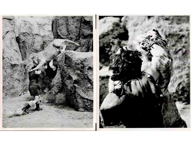 SAMSON AND DELILAH, 1949, movie stills, collectors lot, Hedy Lamarr, Victor Mature