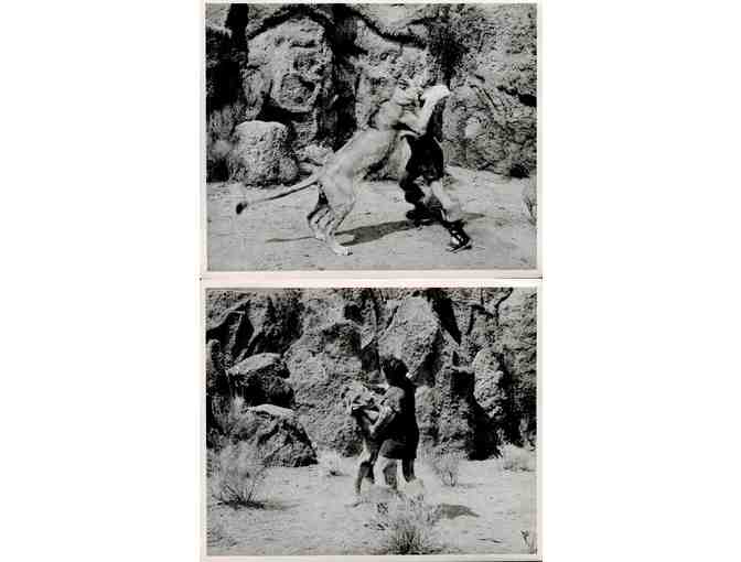 SAMSON AND DELILAH, 1949, movie stills, collectors lot, Hedy Lamarr, Victor Mature