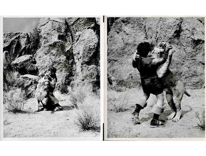 SAMSON AND DELILAH, 1949, movie stills, collectors lot, Hedy Lamarr, Victor Mature