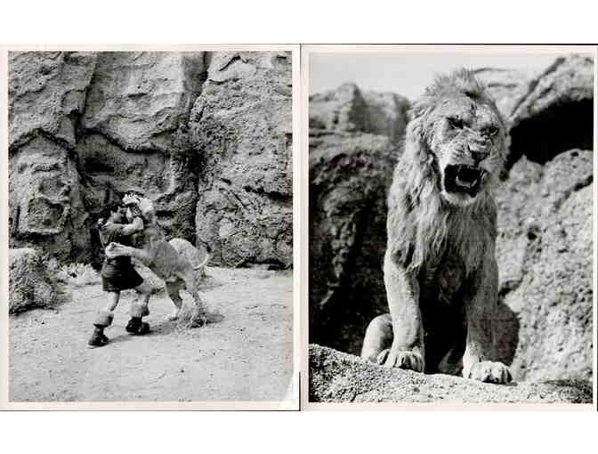 SAMSON AND DELILAH, 1949, movie stills, collectors lot, Hedy Lamarr, Victor Mature