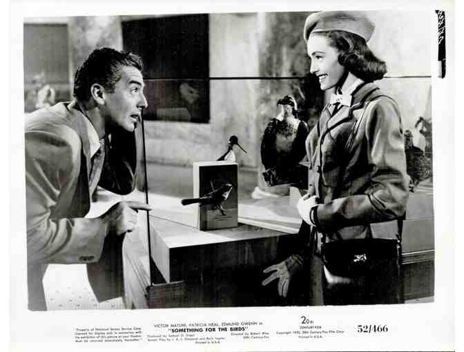 SOMETHING FOR THE BIRDS, 1952, movie stills, Victor Mature, Patricia Neal