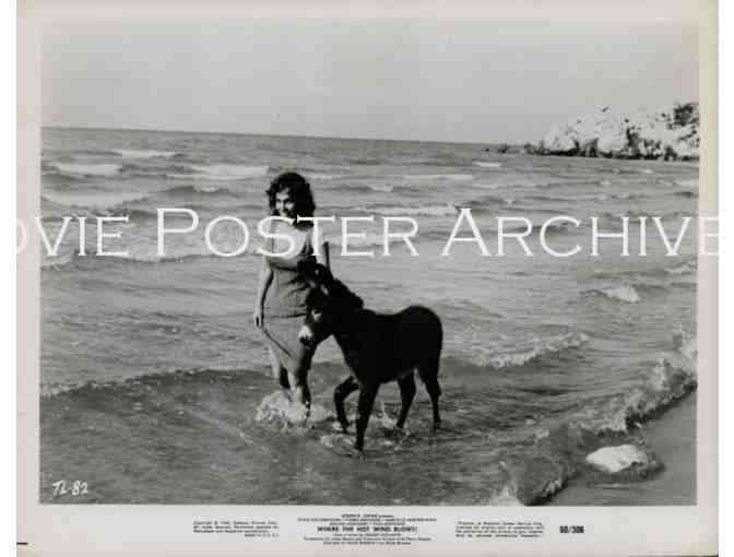 WHERE THE HOT WIND BLOWS, 1960, movie stills, Gina Lollobrigida