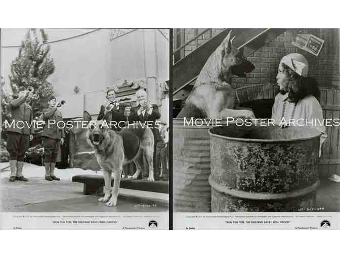 WON TON TON, 1976, movie stills, Madeline Kahn and all star cast