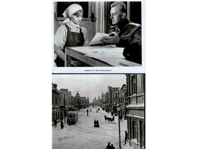 DOCTOR ZHIVAGO, 1965, cards and stills, super collectors lot, Omar Sharif, Julie Christie