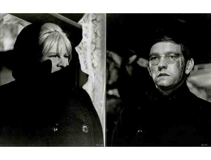 DOCTOR ZHIVAGO, 1965, cards and stills, super collectors lot, Omar Sharif, Julie Christie