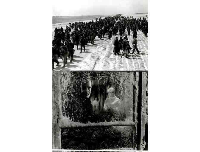 DOCTOR ZHIVAGO, 1965, cards and stills, super collectors lot, Omar Sharif, Julie Christie