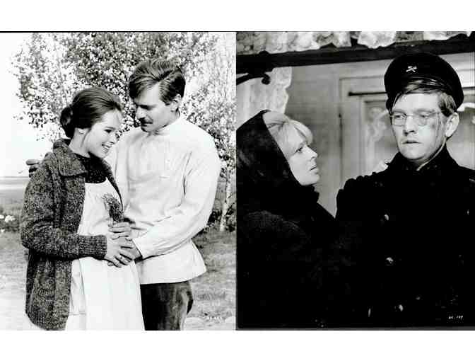 DOCTOR ZHIVAGO, 1965, cards and stills, super collectors lot, Omar Sharif, Julie Christie