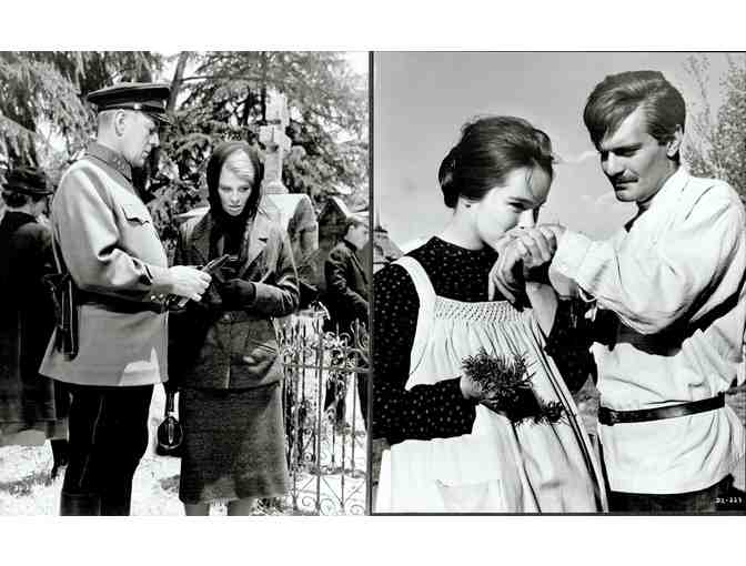 DOCTOR ZHIVAGO, 1965, cards and stills, super collectors lot, Omar Sharif, Julie Christie