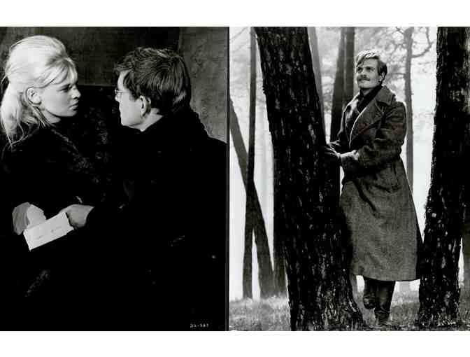 DOCTOR ZHIVAGO, 1965, cards and stills, super collectors lot, Omar Sharif, Julie Christie