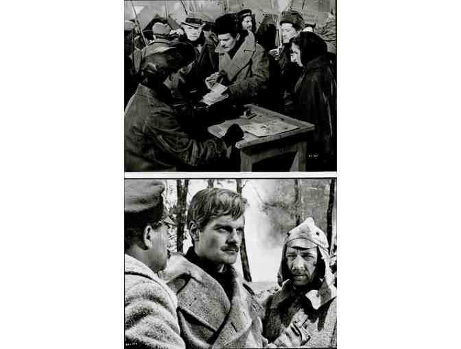 DOCTOR ZHIVAGO, 1965, cards and stills, super collectors lot, Omar Sharif, Julie Christie