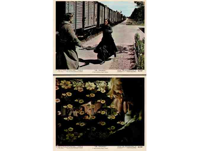 DOCTOR ZHIVAGO, 1965, cards and stills, super collectors lot, Omar Sharif, Julie Christie