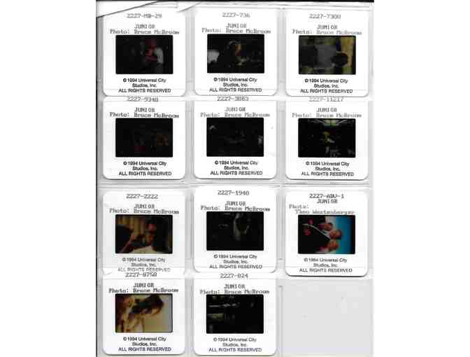 JUNIOR, 1994, color slides, Arnold Schwarzenegger