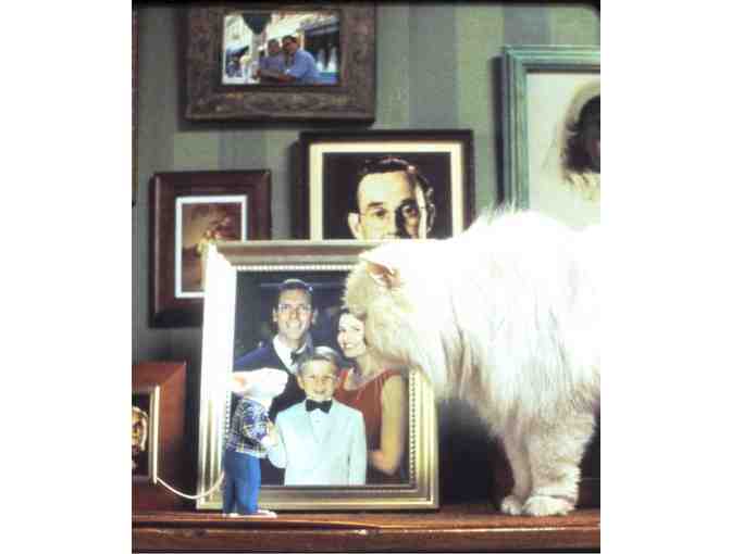 STUART LITTLE, 1999, color slides, Geena Davis, Hugh Laurie