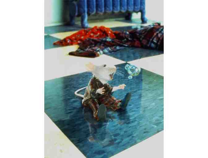 STUART LITTLE, 1999, color slides, Geena Davis, Hugh Laurie