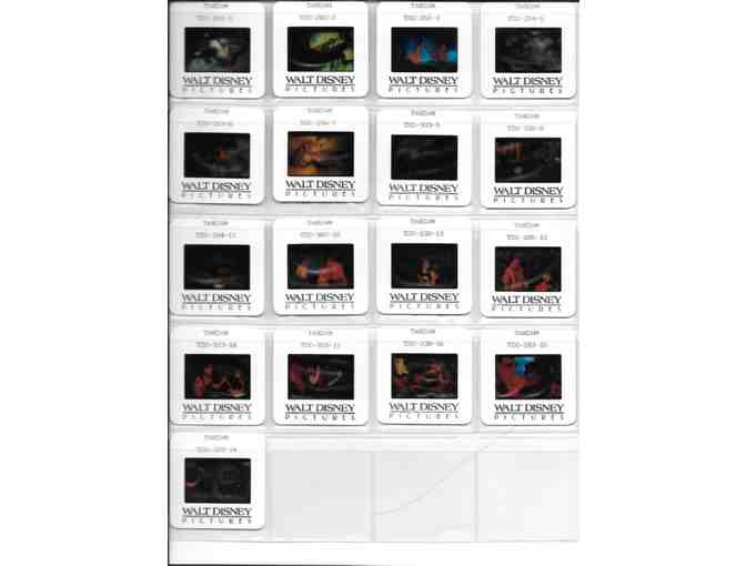 TARZAN, 1999, color slides, Walt Disney animation