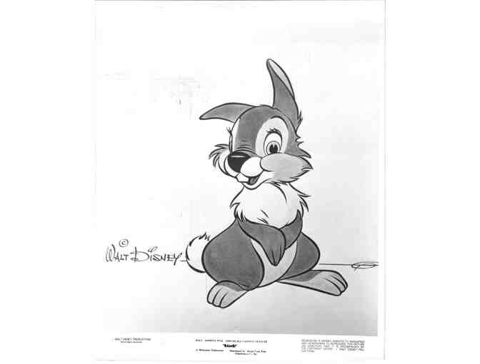 BAMBI, 1942, movie stills, COLLECTORS LOT, Walt Disney animated feature