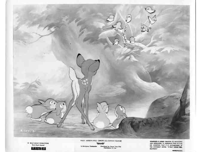 BAMBI, 1942, movie stills, COLLECTORS LOT, Walt Disney animated feature