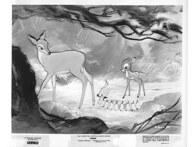 BAMBI, 1942, movie stills, COLLECTORS LOT, Walt Disney animated feature