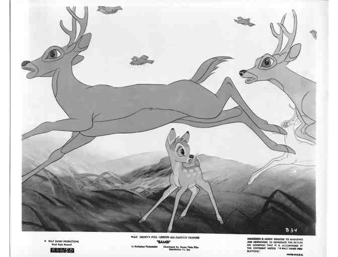 BAMBI, 1942, movie stills, COLLECTORS LOT, Walt Disney animated feature