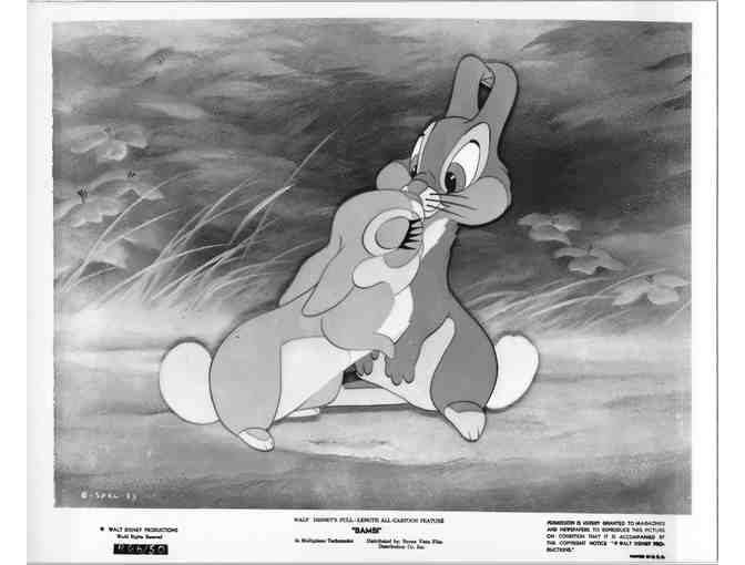 BAMBI, 1942, movie stills, COLLECTORS LOT, Walt Disney animated feature