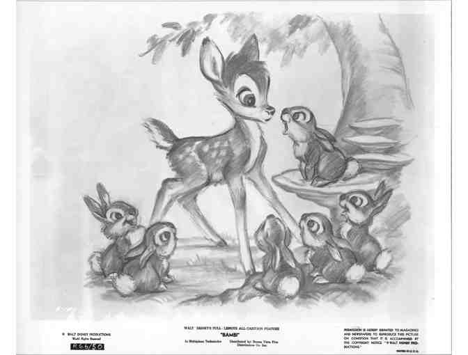 BAMBI, 1942, movie stills, COLLECTORS LOT, Walt Disney animated feature