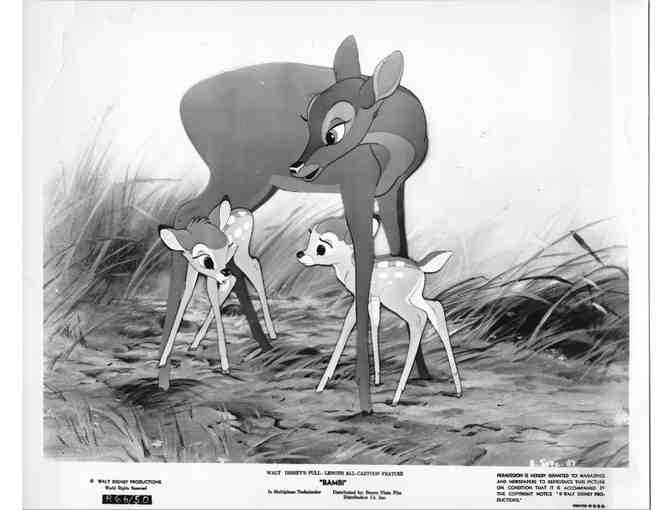 BAMBI, 1942, movie stills, COLLECTORS LOT, Walt Disney animated feature