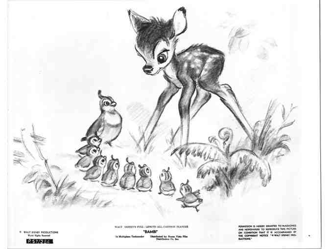 BAMBI, 1942, movie stills, COLLECTORS LOT, Walt Disney animated feature