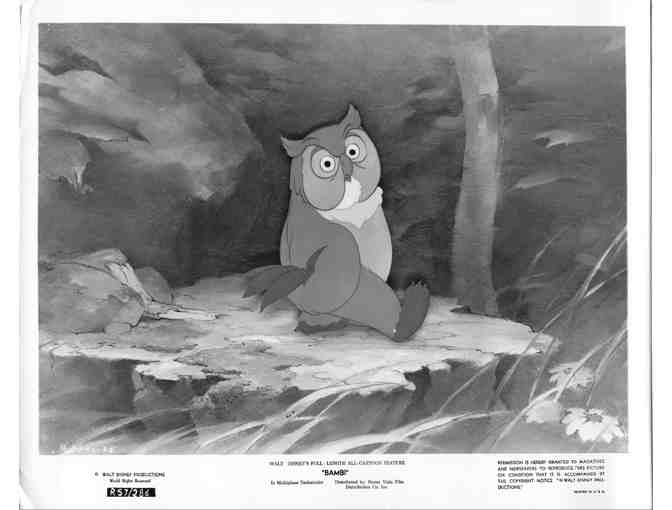 BAMBI, 1942, movie stills, COLLECTORS LOT, Walt Disney animated feature