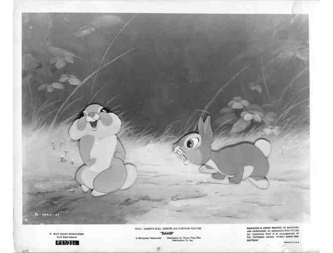 BAMBI, 1942, movie stills, COLLECTORS LOT, Walt Disney animated feature