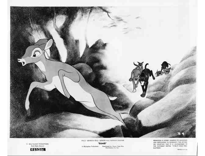 BAMBI, 1942, movie stills, COLLECTORS LOT, Walt Disney animated feature