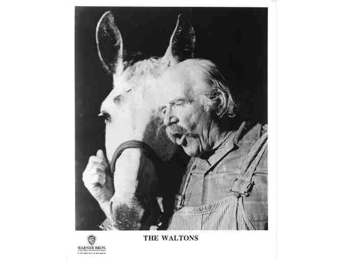 WALTONS, TV stills, COLLECTORS LOT, Will Geer, Richard Thomas