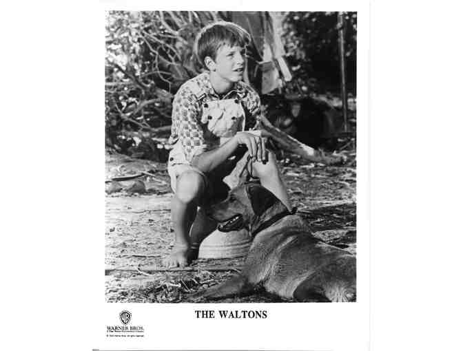 WALTONS, TV stills, COLLECTORS LOT, Will Geer, Richard Thomas