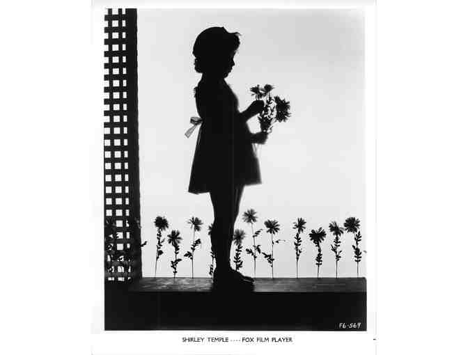 SHIRLEY TEMPLE, COLLECTORS LOT of classic celebrity portraits, stills or photos