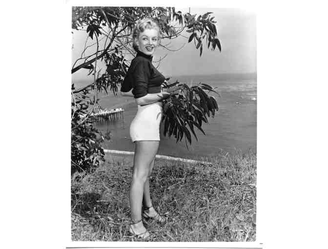 MARILYN MONROE, COLLECTORS LOT, classic celebrity portraits, stills or photos
