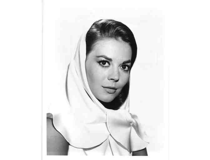 NATALIE WOOD, group of classic celebrity portraits, stills and photos