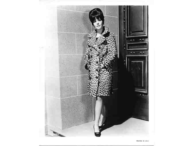 NATALIE WOOD, group of classic celebrity portraits, stills and photos