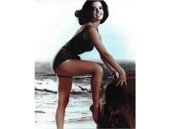 NATALIE WOOD, group of classic celebrity portraits, stills and photos