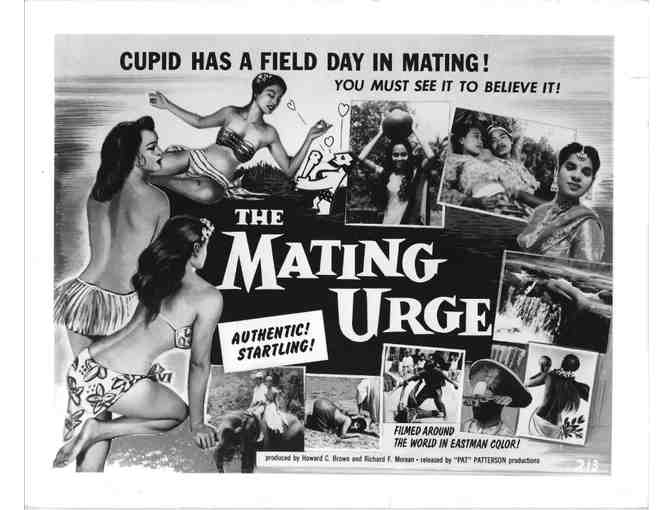 MATING URGE, 1959, movie stills, courtship documentary