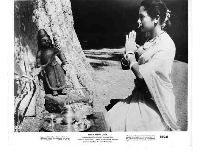 MATING URGE, 1959, movie stills, courtship documentary